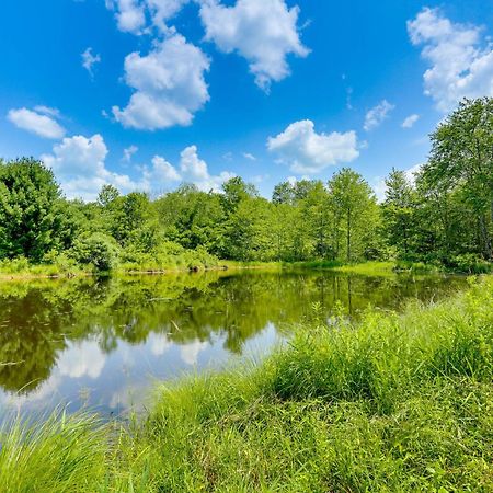 Secluded Poconos Cabin With Fire Pit On 75 Acres! East Stroudsburg Exterior foto